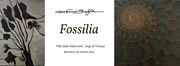 Giovanni Boffa - FOSSILIA