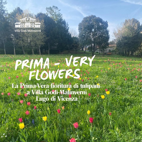 Prima-Very Flowers