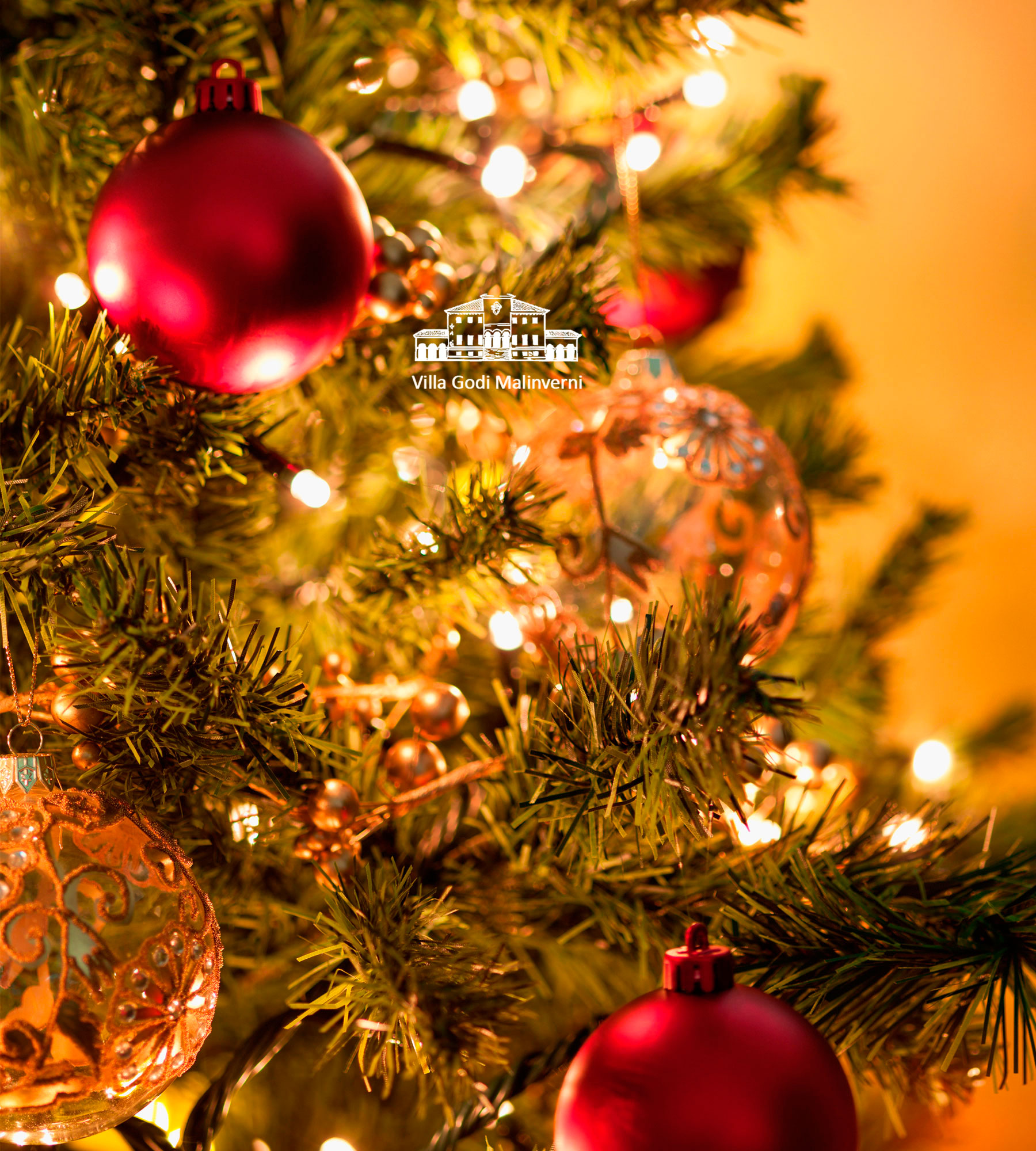 Natale con Palladio 2025